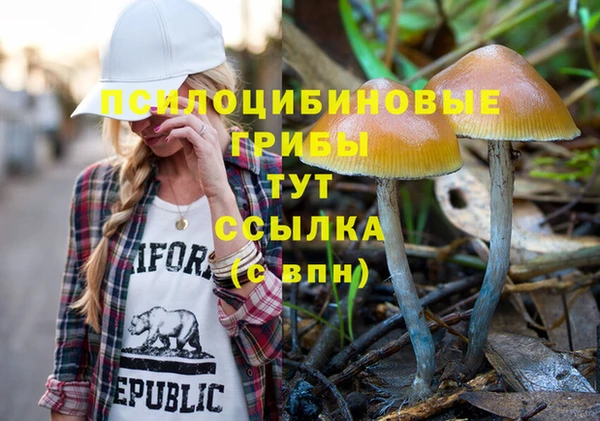 мескалин Богородск